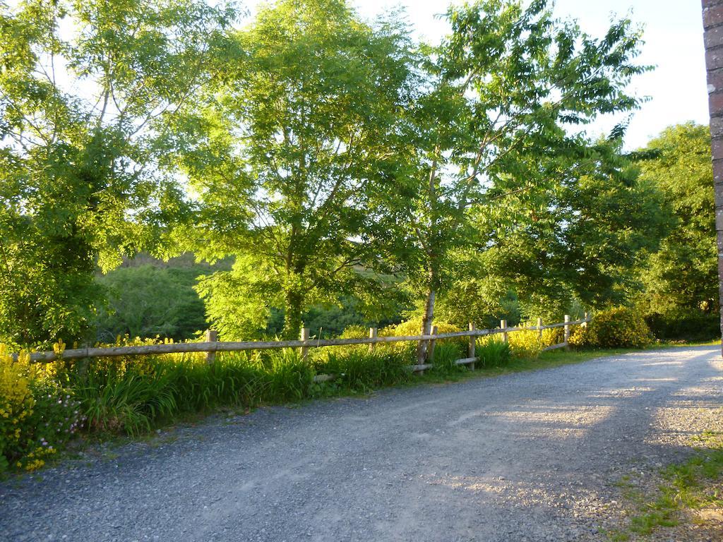 Villa Nantgwynfaen Organic Farm Wales Llandysul Exterior foto